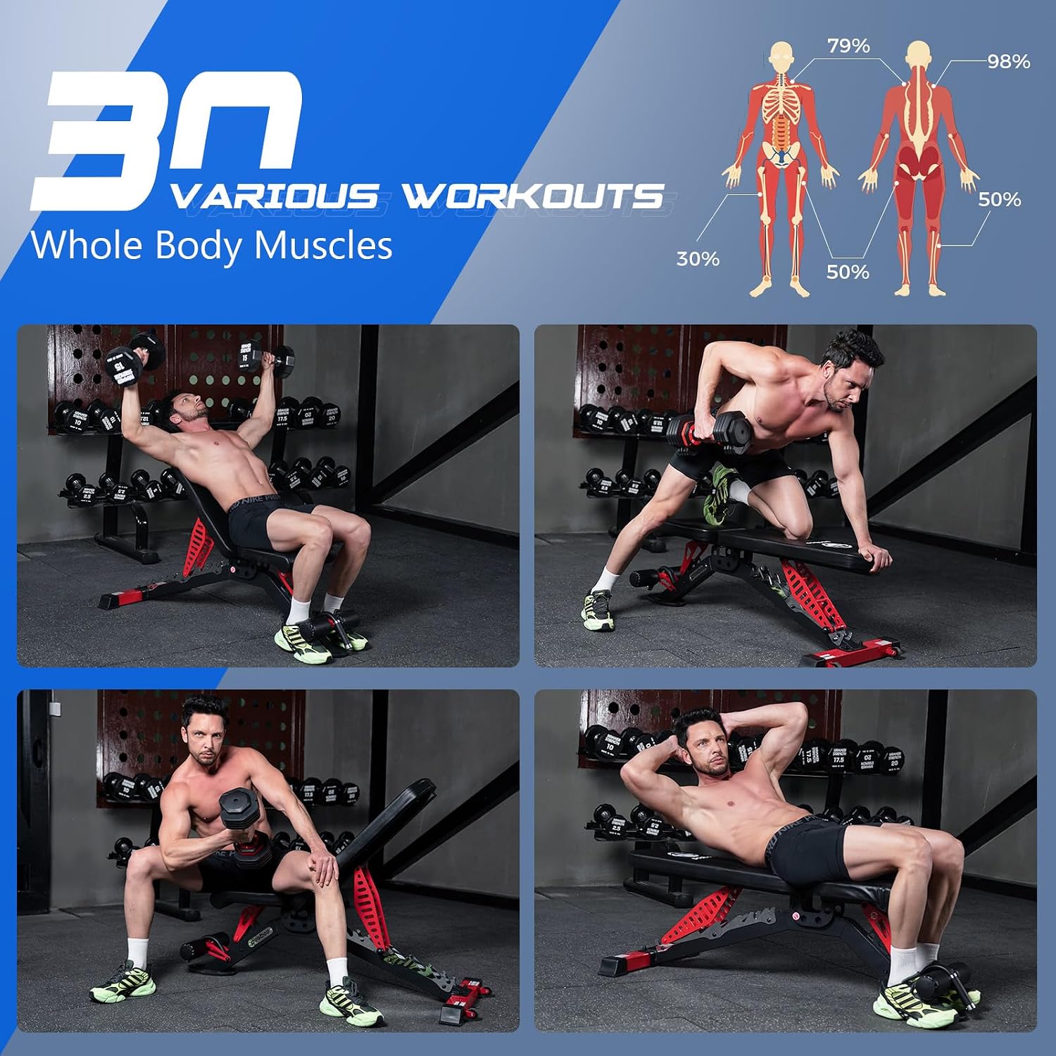 Bangku Angkat Beban yang Dapat - Home Gym Multi ulasan dan harga