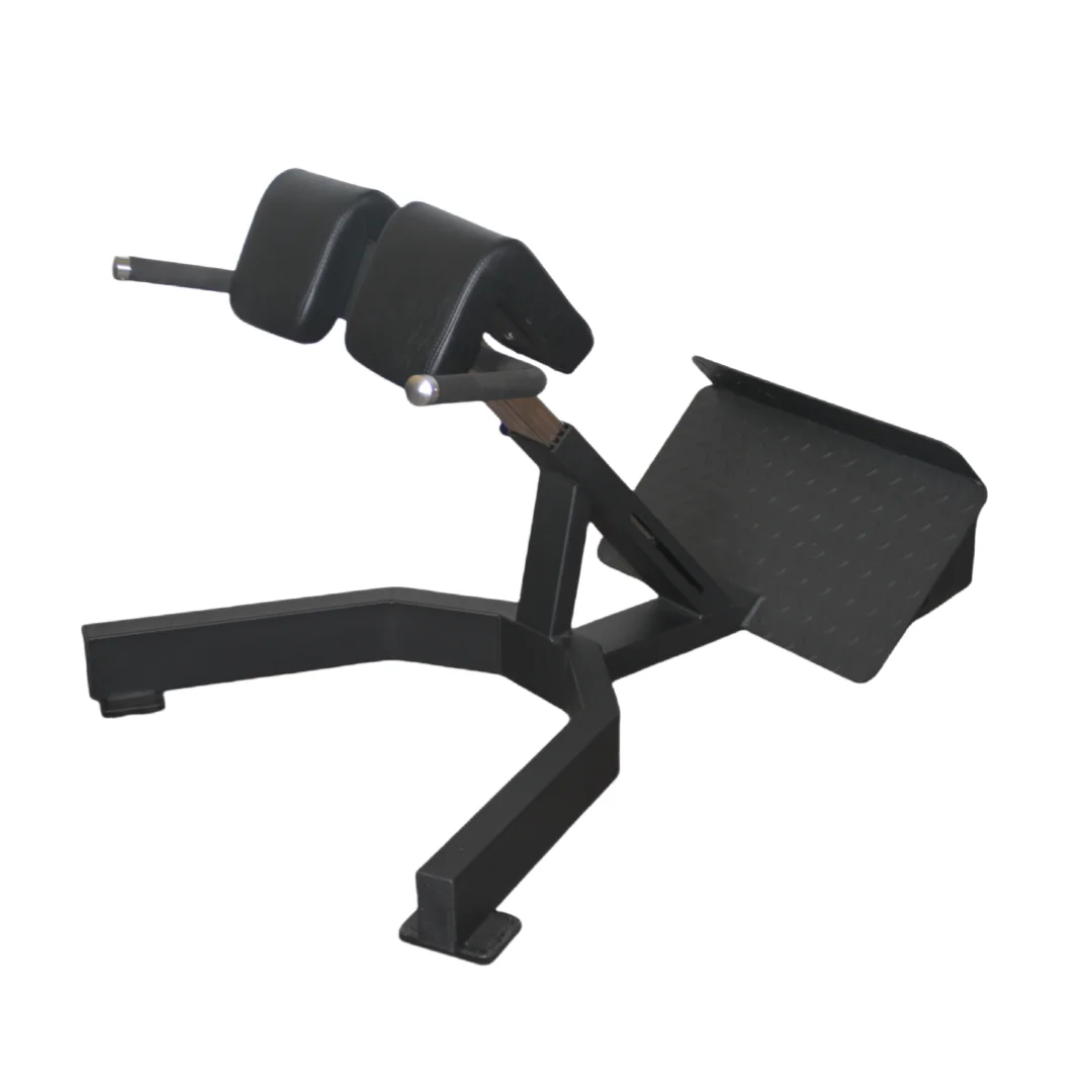 Alat Latihan Punggung Roman Ch - Home Gym Price ulasan dan harga